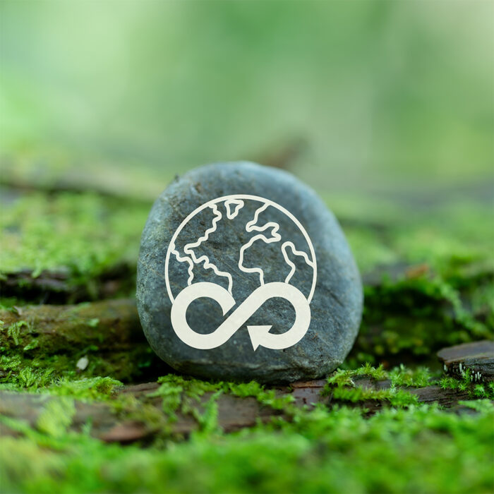 A small stone sitting on a mossy surface engraved with a sustainability icon.